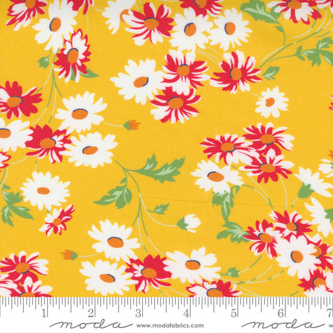 Story Time - Real Daisy Yellow
