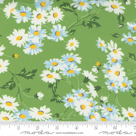 Story Time - Real Daisy Green