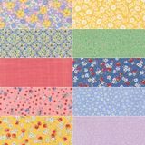 30's Playtime 2025 - *Bundle of 10 Fat Quarters with 1 Free (2)*