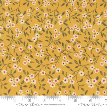 Sagewood - Dogwood Golden