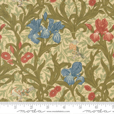 Morris Muse - Iris Parchment