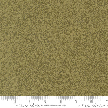 Morris Muse - Willow Sage