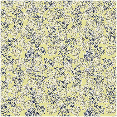 Rico - Bouquet Sauvage - Green Allium