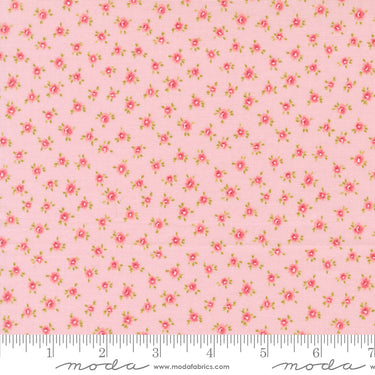 Memory Lane - Little Posies Blush
