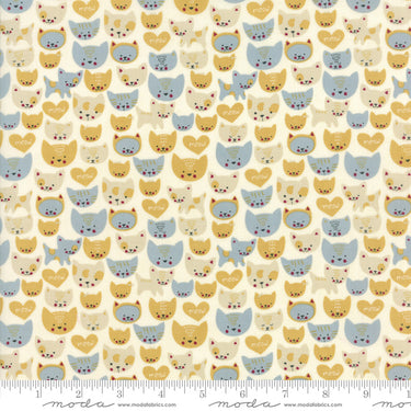 Woof Woof Meow - Here Kitty Kitty Aqua
