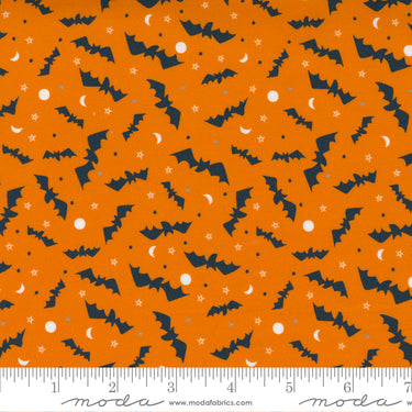 Holiday Essentials - Halloween - Bats Pumpkin