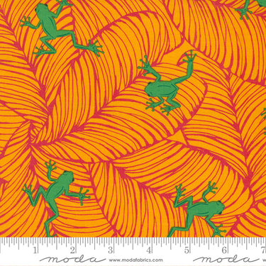 Jungle Paradise - Oh Froggy Tiger