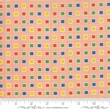Play All Day - Checks Orange