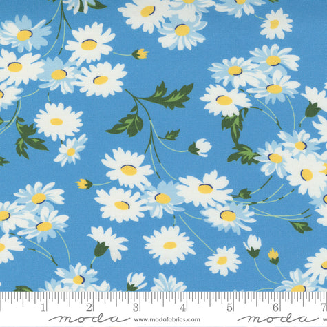 Story Time - Real Daisy Blue