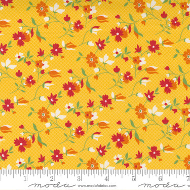 Story Time - Playful Daisy Yellow