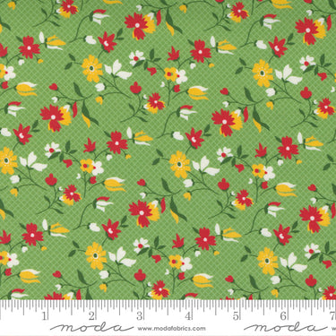 Story Time - Playful Daisy Green