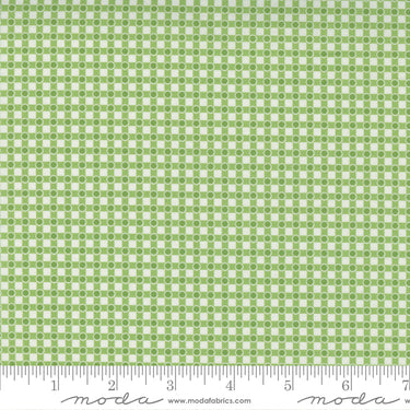 Story Time - Dotted Check Green
