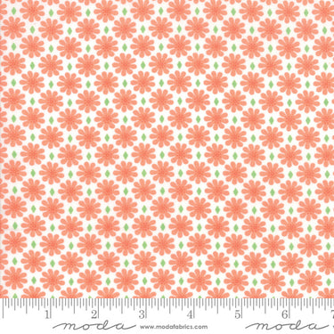Good Day - Diamond Daisy Orange