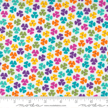 Petal Power - Petal Pushers Wow White