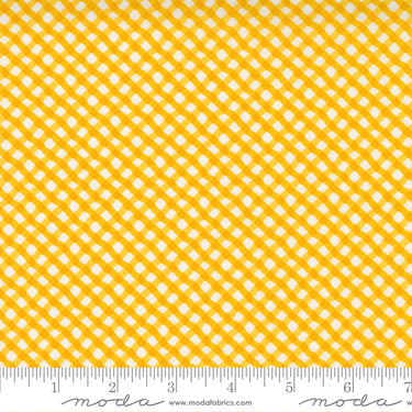 Petal Power - Bias Plaid Yall Yellow