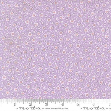 30's Playtime 2025 - Dotty Daisy Lilac