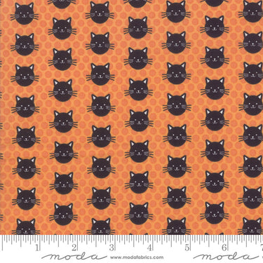 Midnight Magic - Kitty Kitty Pumpkin - 29" Bolt End