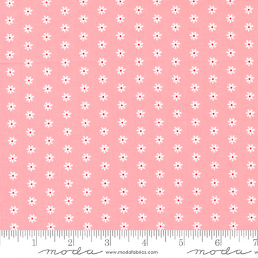 Berry Basket - Daisy Dot Strawberry
