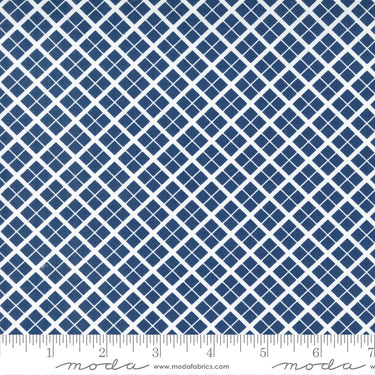 Berry Basket - Trellis Blueberry