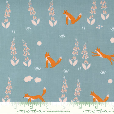 Meander - Foxes Denim