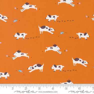 Pips - Puppy Dog Tails Orangeade