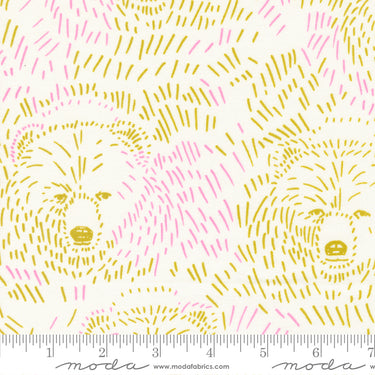 Marigold - Bears Daisy