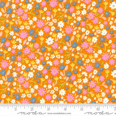 Marigold - Summer Sunshine