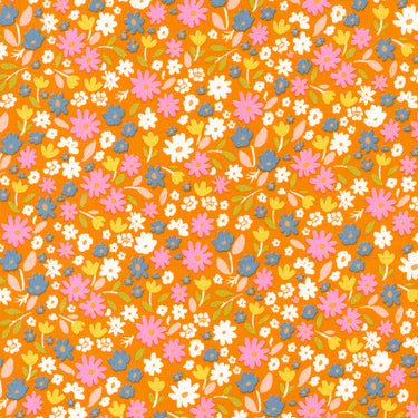 Marigold - Summer Sunshine