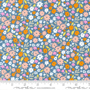 Marigold - Summer Cornflower