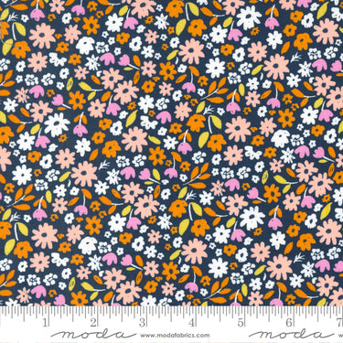 Marigold - Summer Night