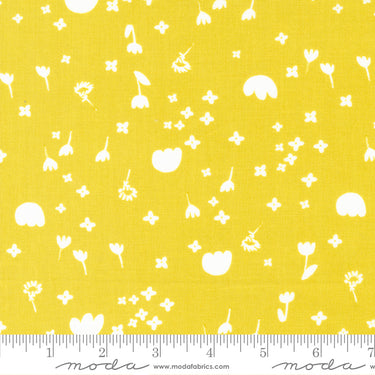 Marigold - Drift Buttercup