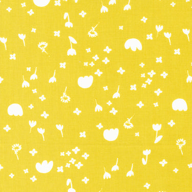 Marigold - Drift Buttercup