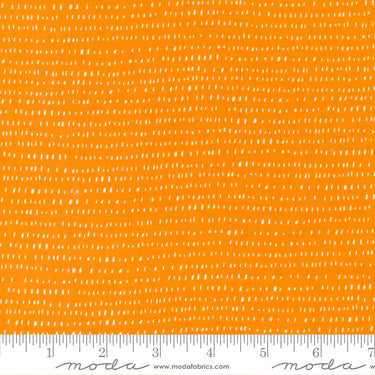 Marigold - Seed Stripe Sunshine
