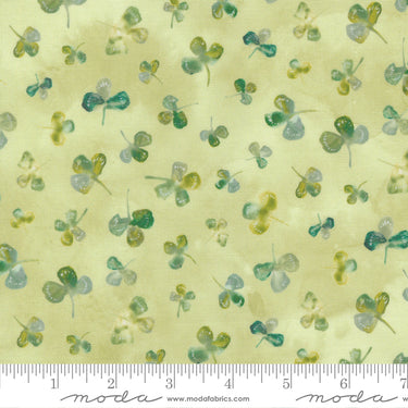 Sweet Cecily - Clover Bud