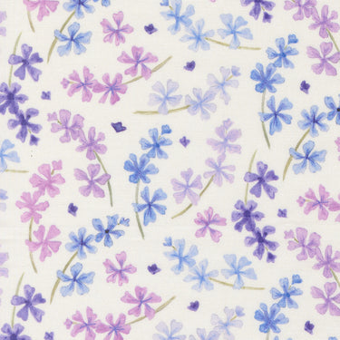 Delphinium - Lilac Snowdrop - PRE-ORDER DUE APRIL