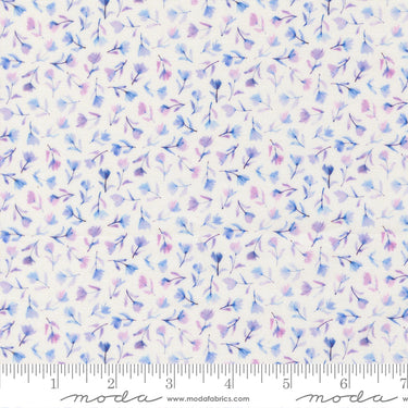 Delphinium - Sea Pink Snowdrop - PRE-ORDER DUE APRIL