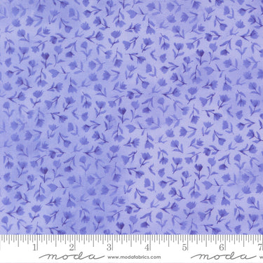 Delphinium - Sea Pink Bluebell - PRE-ORDER DUE APRIL