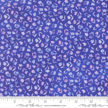 Delphinium - Sea Pink Agapanthus - PRE-ORDER DUE APRIL
