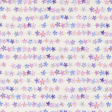 Delphinium - Daisy Chain Snowdrop - PRE-ORDER DUE APRIL
