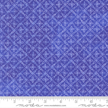 Delphinium - Flourish Agapanthus - PRE-ORDER DUE APRIL