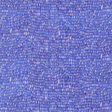 Delphinium - Palette Agapanthus - PRE-ORDER DUE APRIL