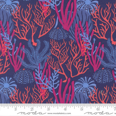 Reef - Coral Reef Dusk