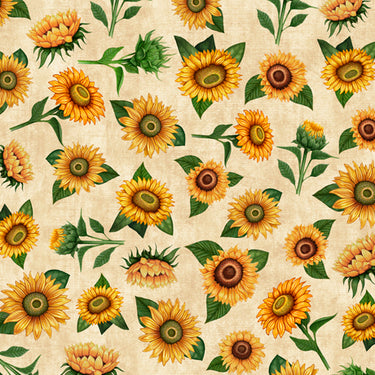 Sunrise Farm - Sunflower Toss Cream