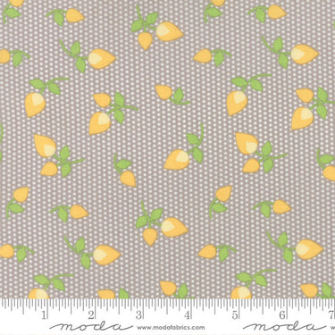 Sundrops - Taupe Rosebuds