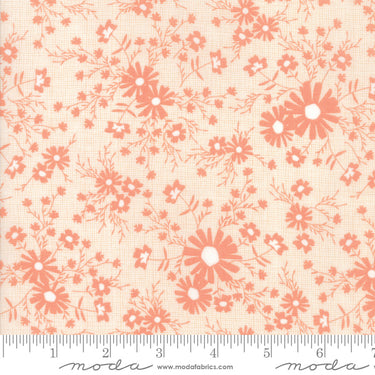 Sunnyside Up - Meadow Coral