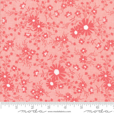Sunnyside Up - Meadow Strawberry