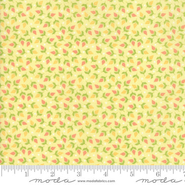Sunnyside Up - Tiny Buds Lighthearted