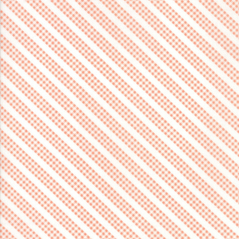 Sunnyside Up - Bias Gingham Stripe Coral