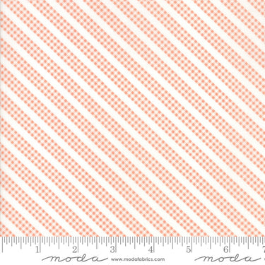 Sunnyside Up - Bias Gingham Stripe Coral