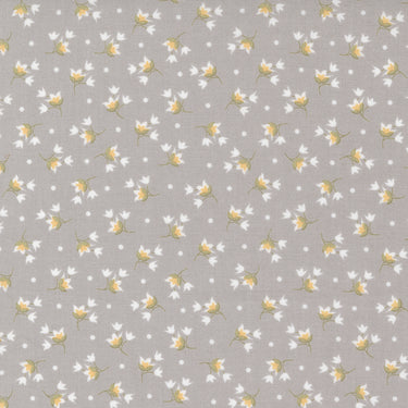 Buttercup and Slate - Tulip Pebble